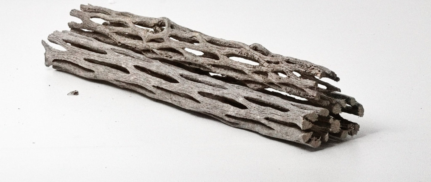 Cholla Wood 3 Pack