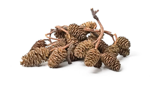 Alder Cones 25 Pack