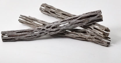 Cholla Wood 3 Pack
