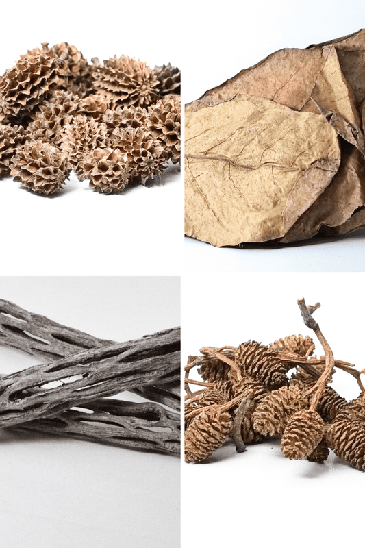 Aquarium Botanicals Bundle (Complete Natural Setup)
