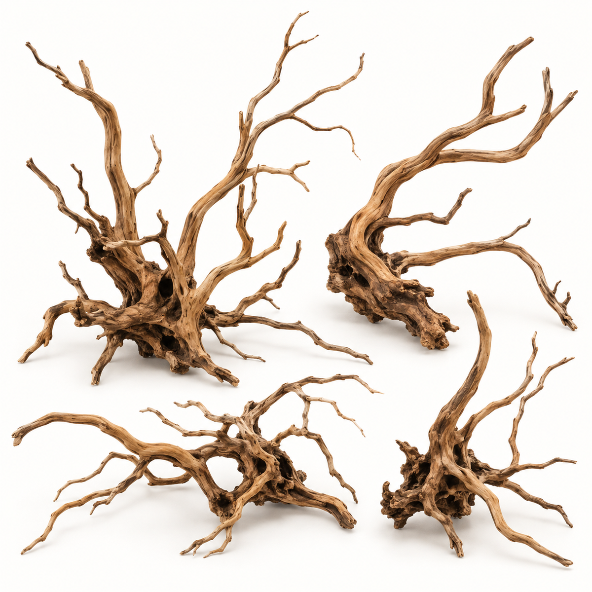 Natural spiderwood for aquarium aquascaping