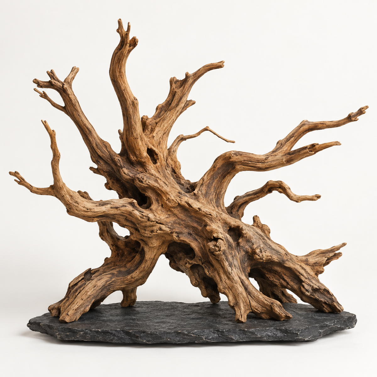 Large natural aquarium wood root with slate base