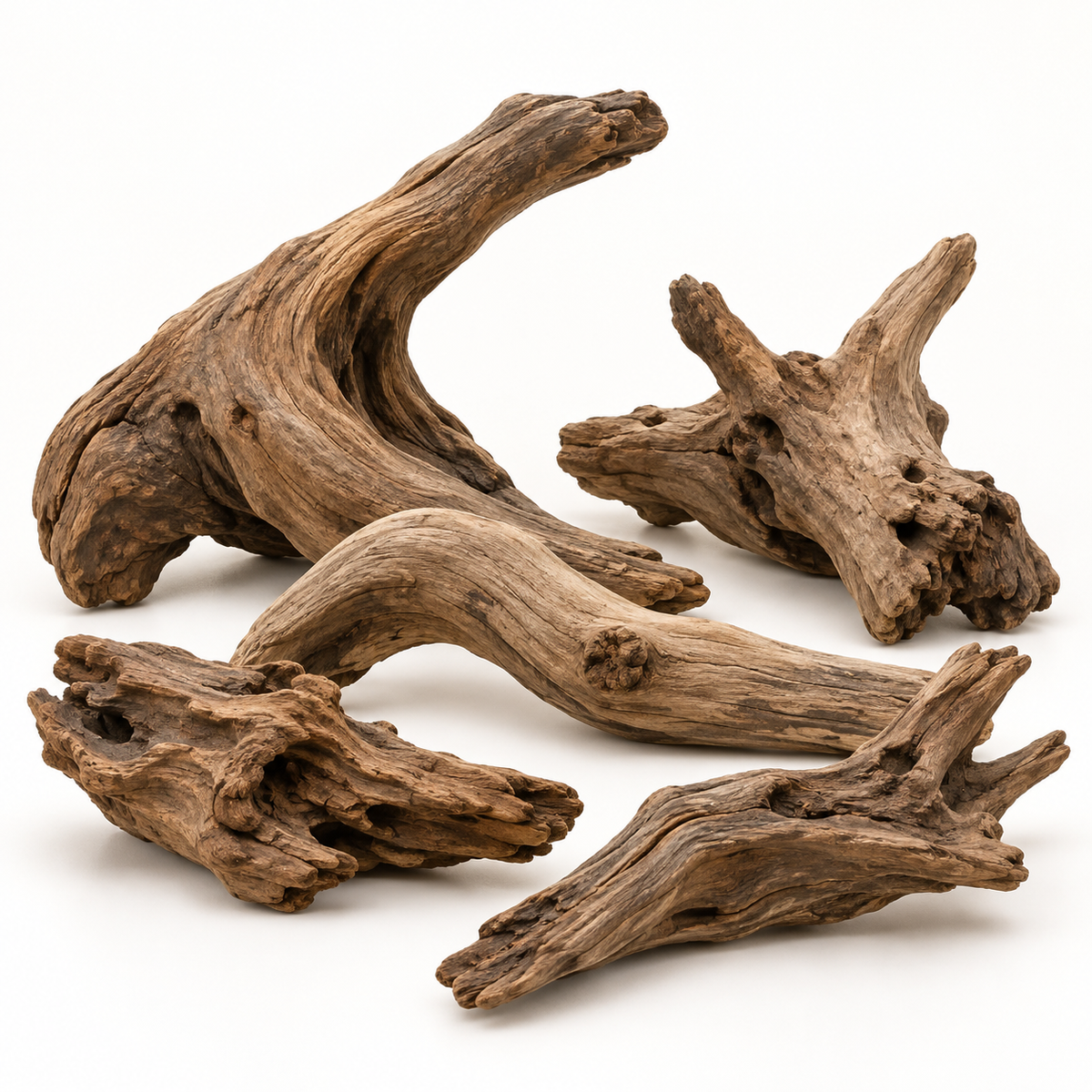 Regular natural aquarium driftwood
